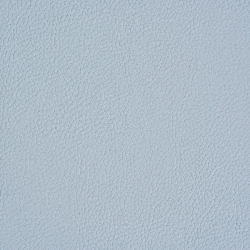 VEGAN LEATHER INDOOR/OUTDOOR | Fog