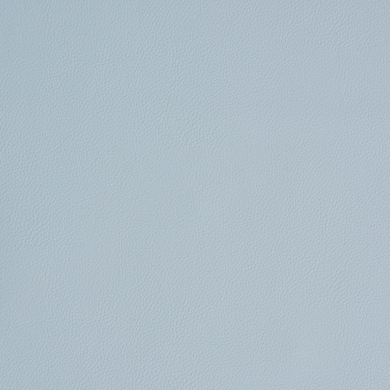 VEGAN LEATHER INDOOR/OUTDOOR | Fog