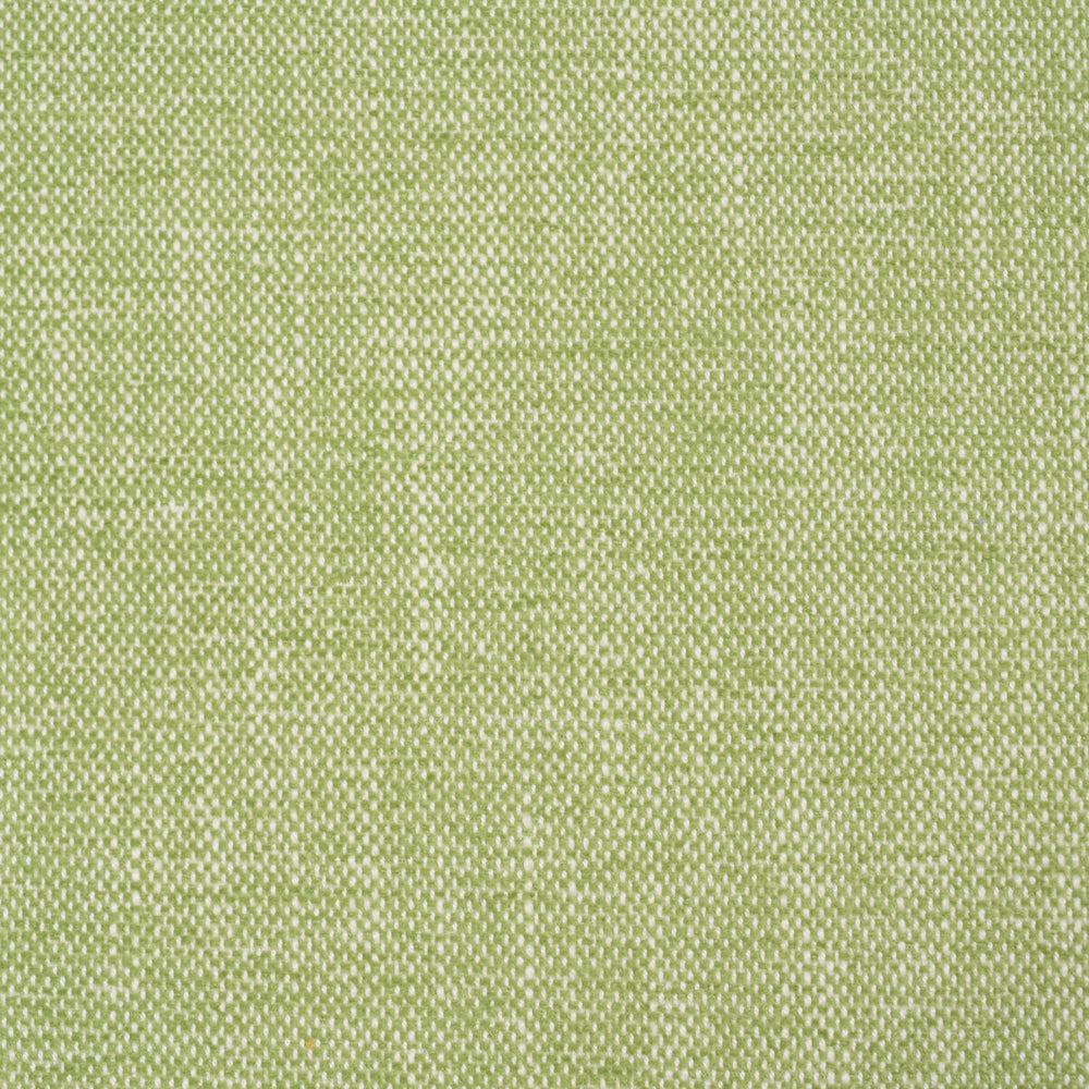 DEAN INDOOR/OUTDOOR | Grass
