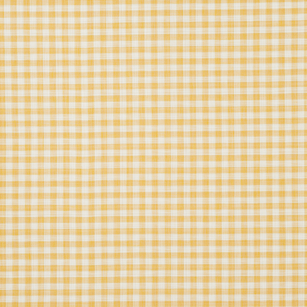 MARTINA PLAID INDOOR/OUTDOOR | Yellow