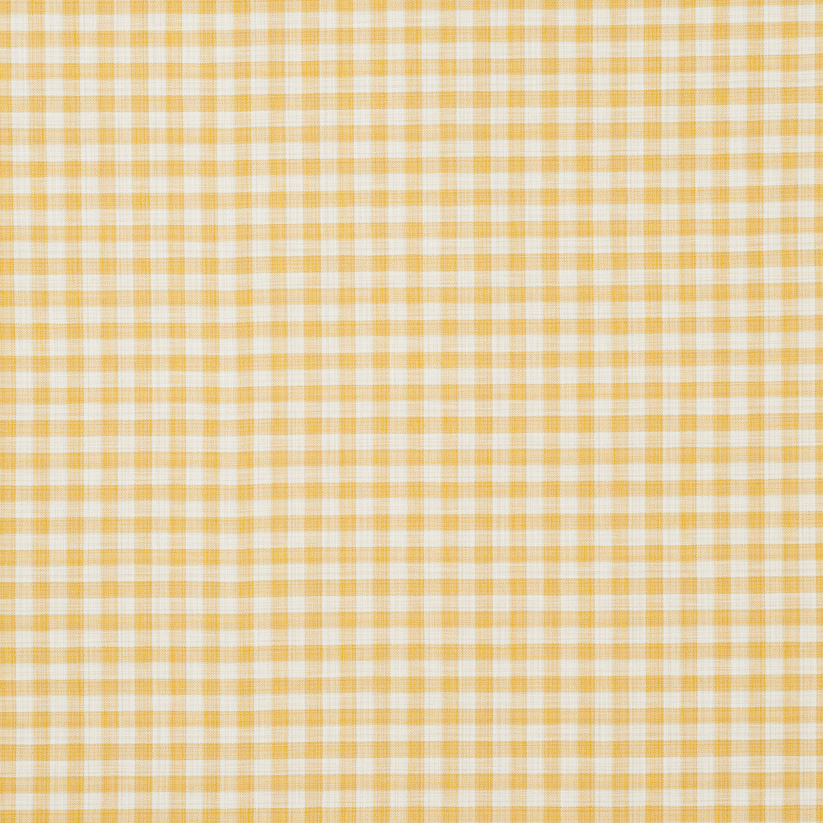 MARTINA PLAID INDOOR/OUTDOOR | Yellow