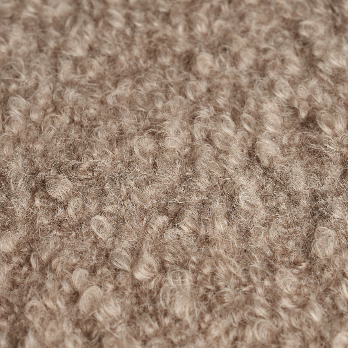 TEDDY WOOL BOUCLÉ | Fawn