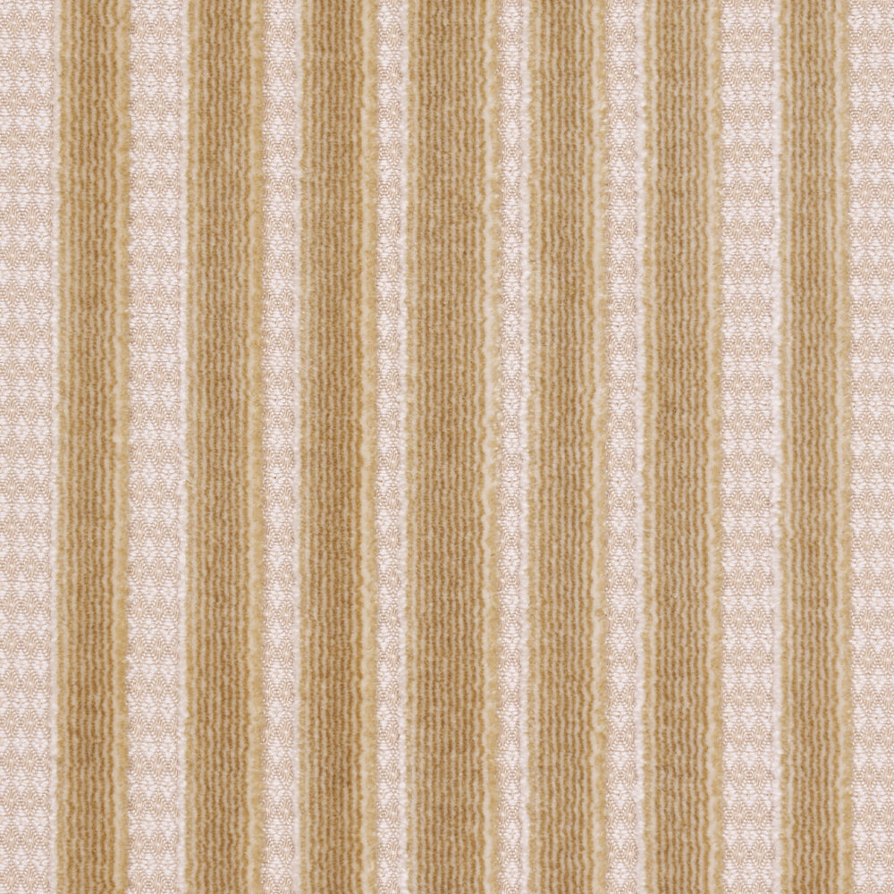 CHIMAY STRIPE VELVET | Champagne