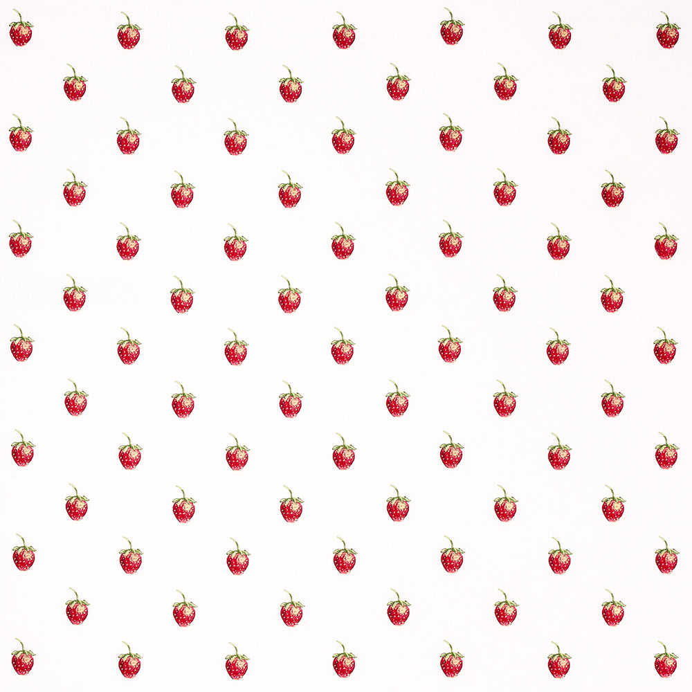 FRESHIE FRESH | Ivory