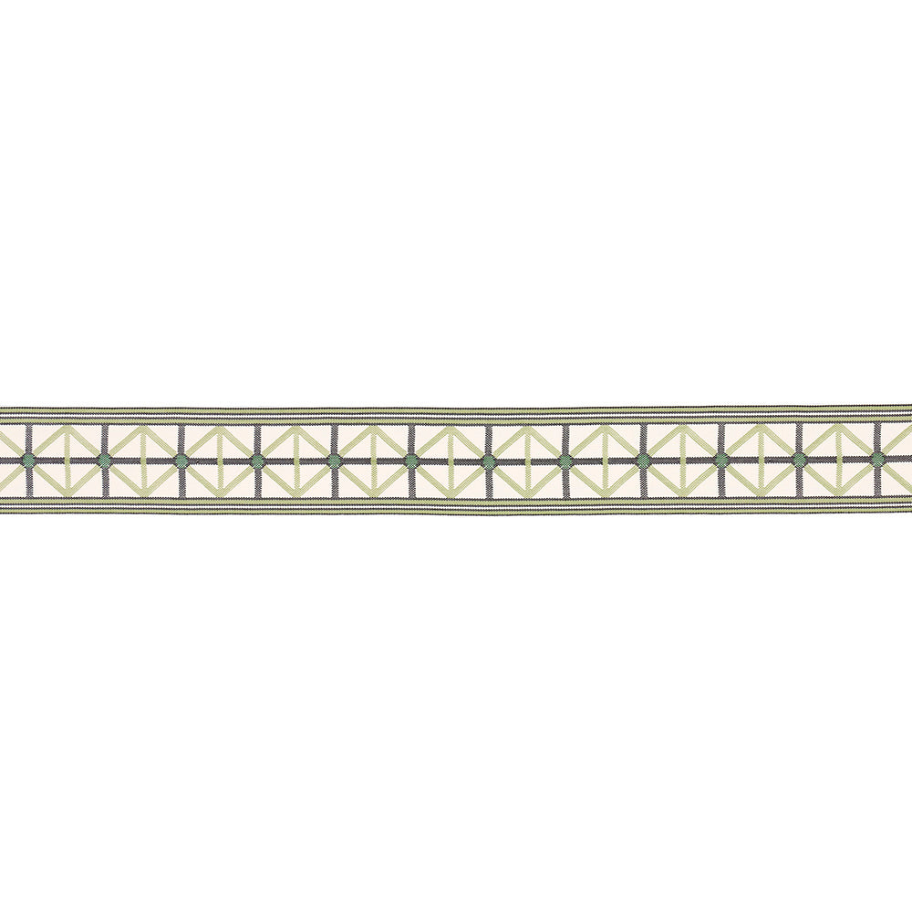 NAPOLEON INDOOR/OUTDOOR TAPE | Moss