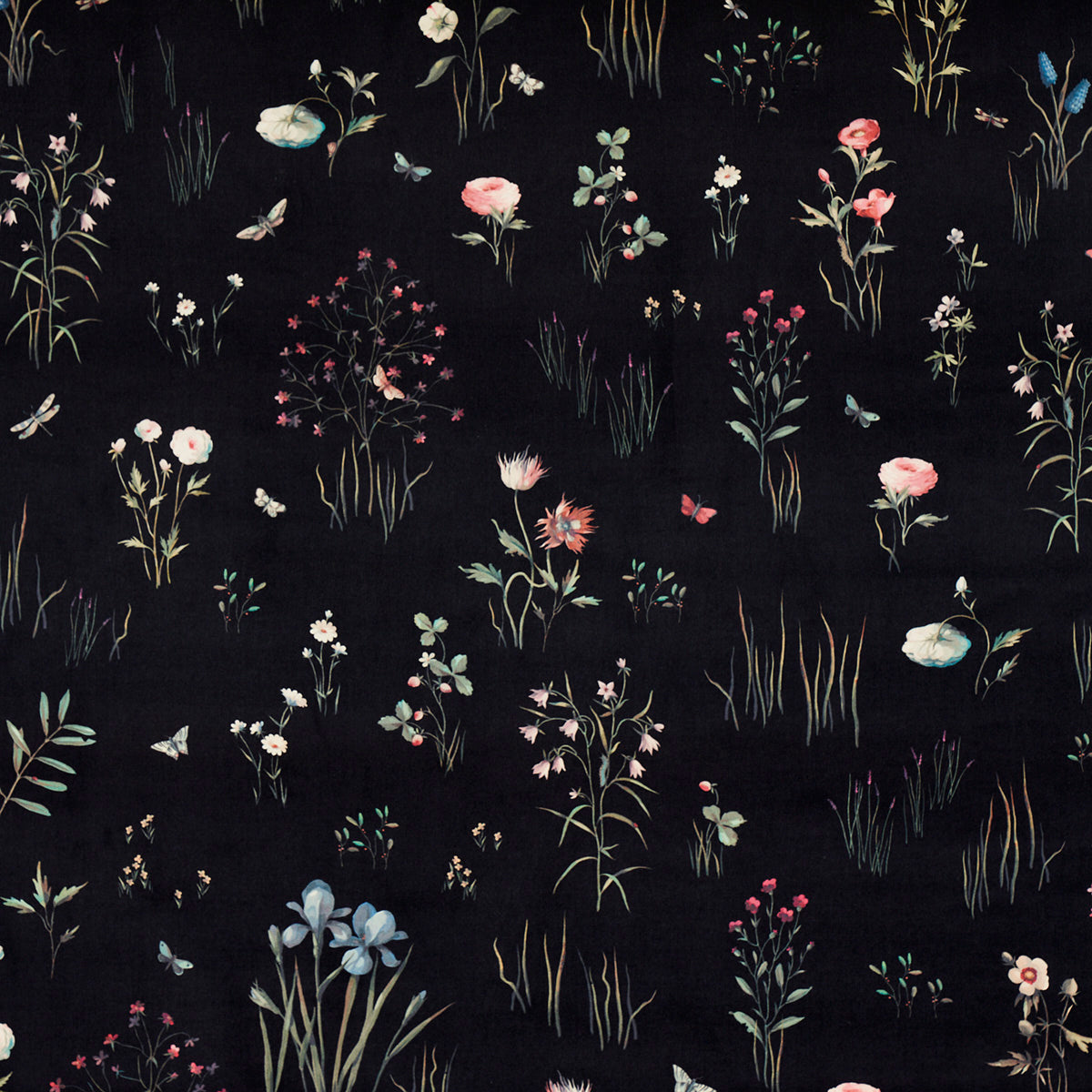 PRIMAVERA VELVET | BLACK