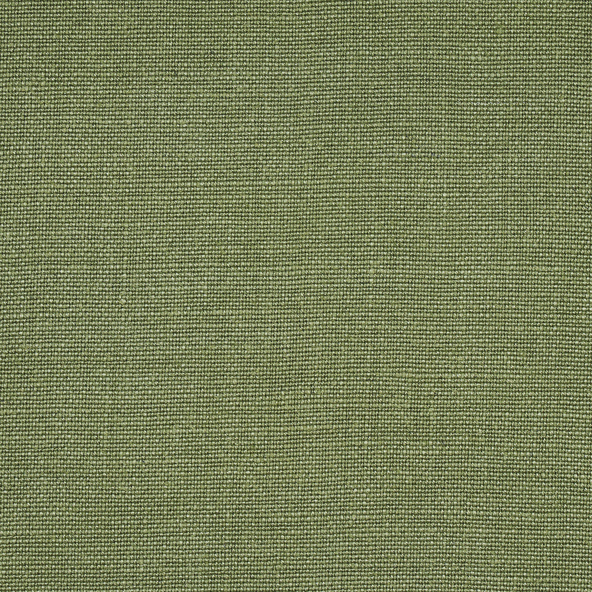 PIET PERFORMANCE LINEN | Moss