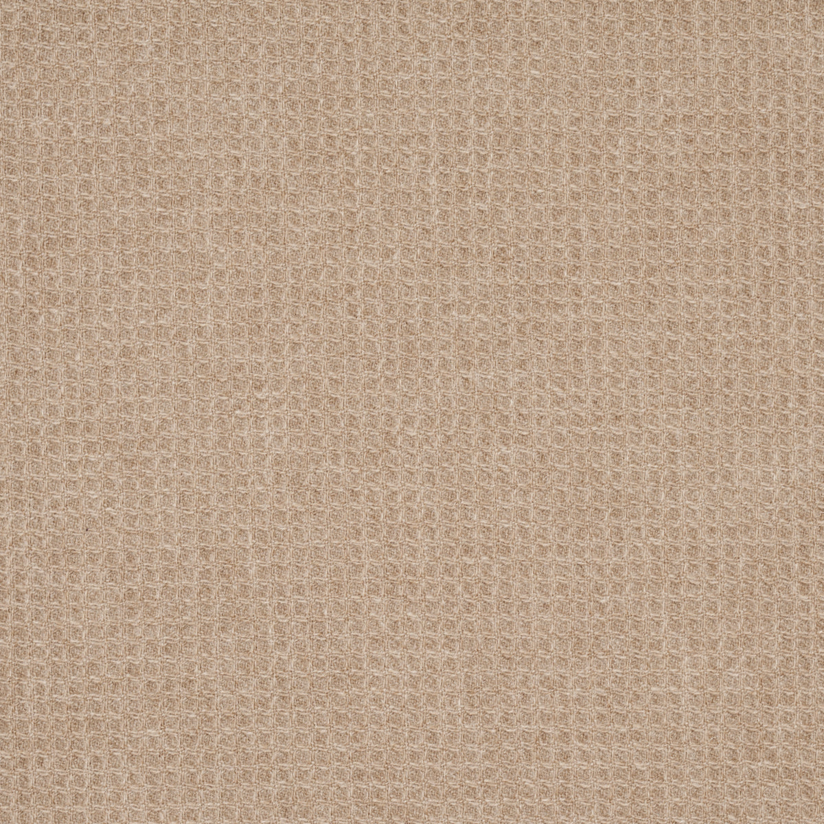 WALDEN WOOL TEXTURE | Wheat