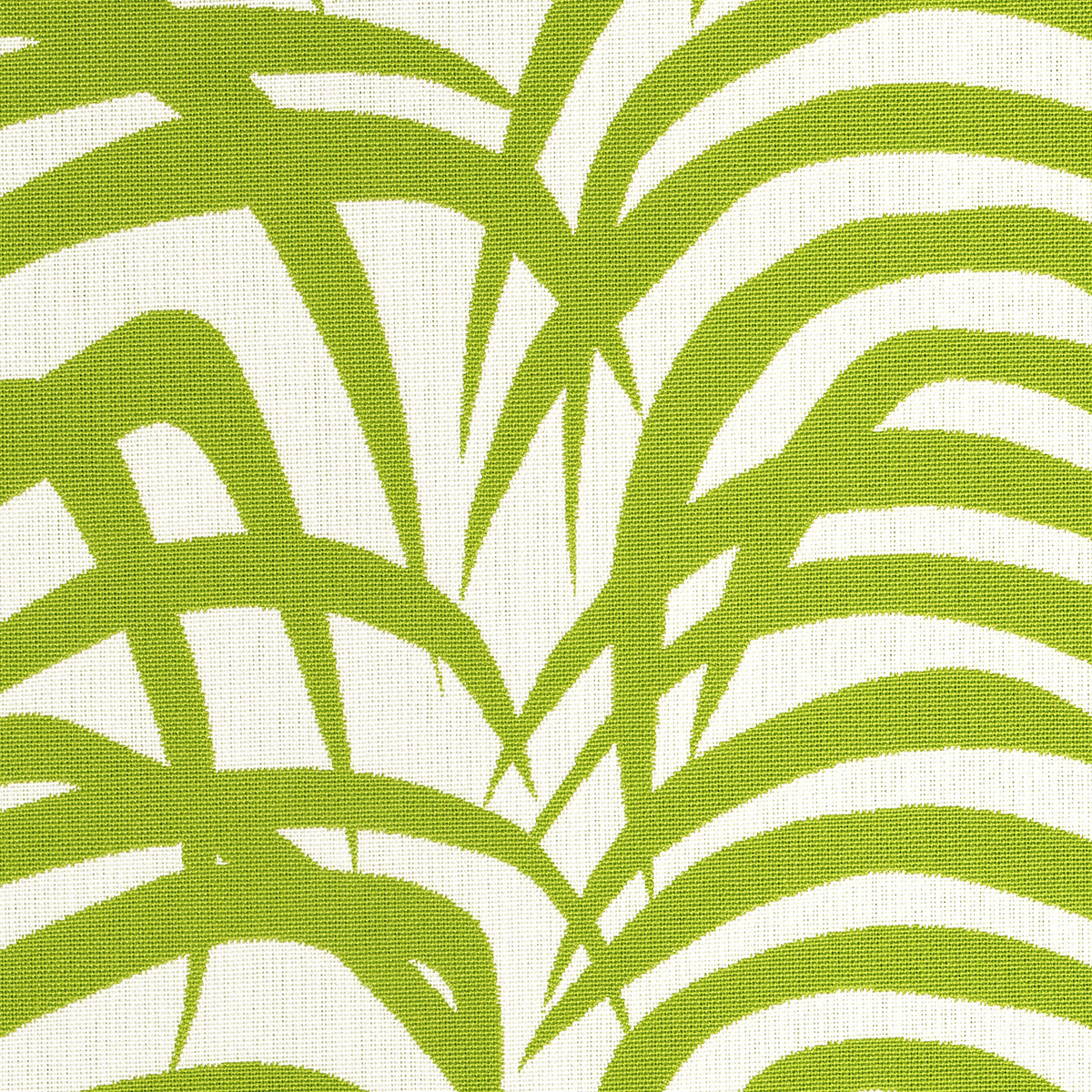 Zebra Palm Woven Indoor/Outdoor | GREEN