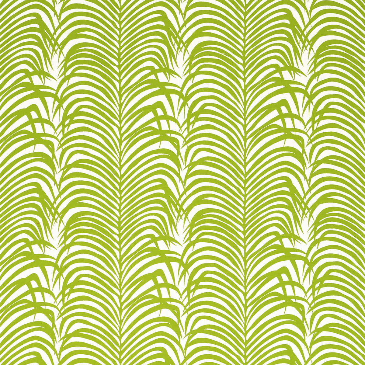 Zebra Palm Woven Indoor/Outdoor | Green