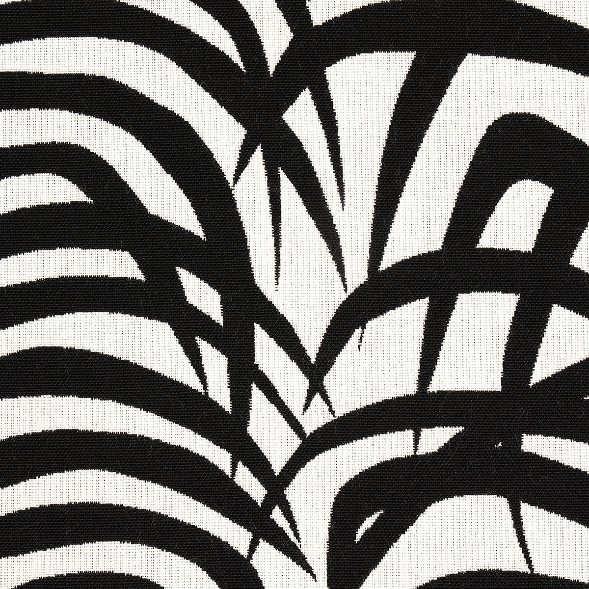 ZEBRA PALM INDOOR/OUTDOOR | BLACK