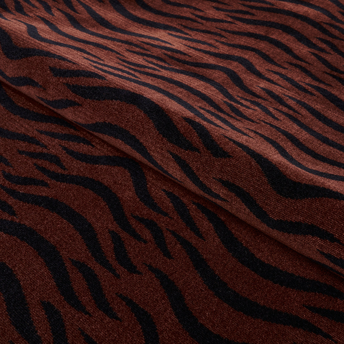 SABI TIGER VELVET | Java