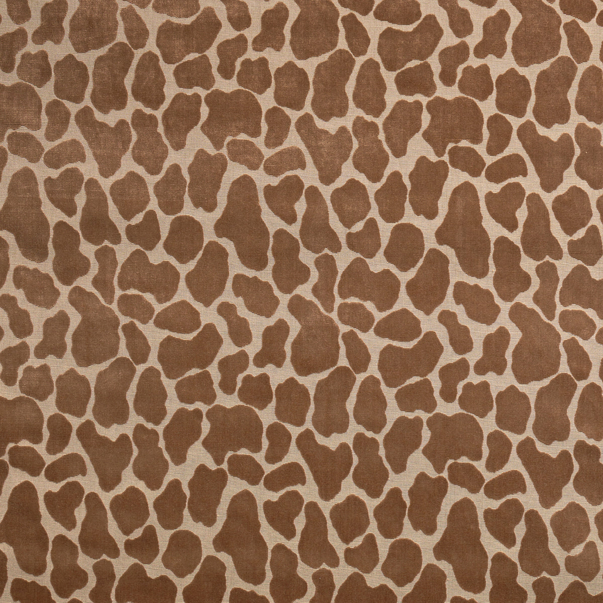 GIRAFFE VELVET | Safari