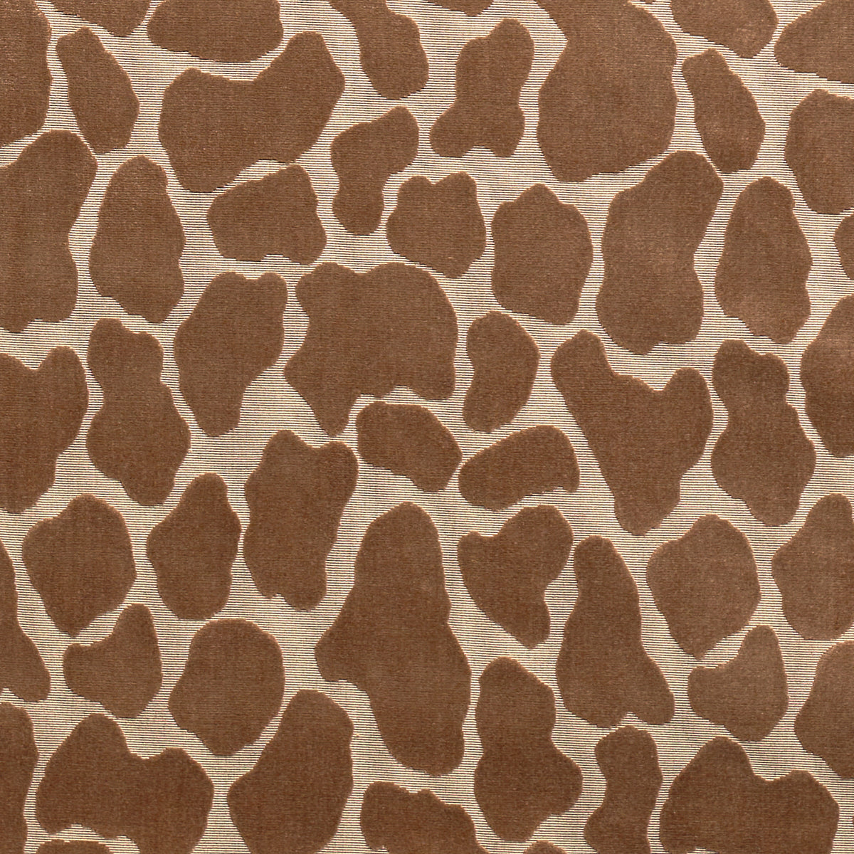 GIRAFFE VELVET | Safari