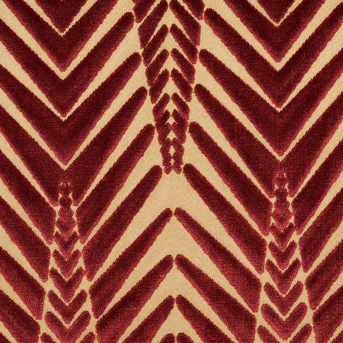 ZEBRA VELVET | Gold Plum