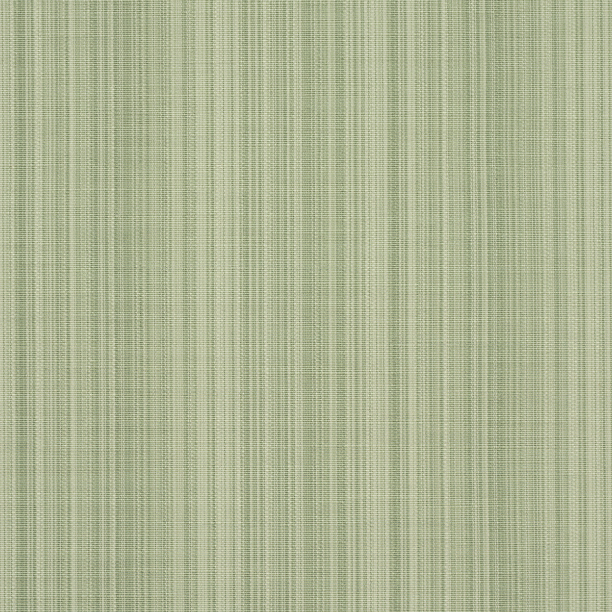 GRACIE SOLID STRIÉ | Leaf Green