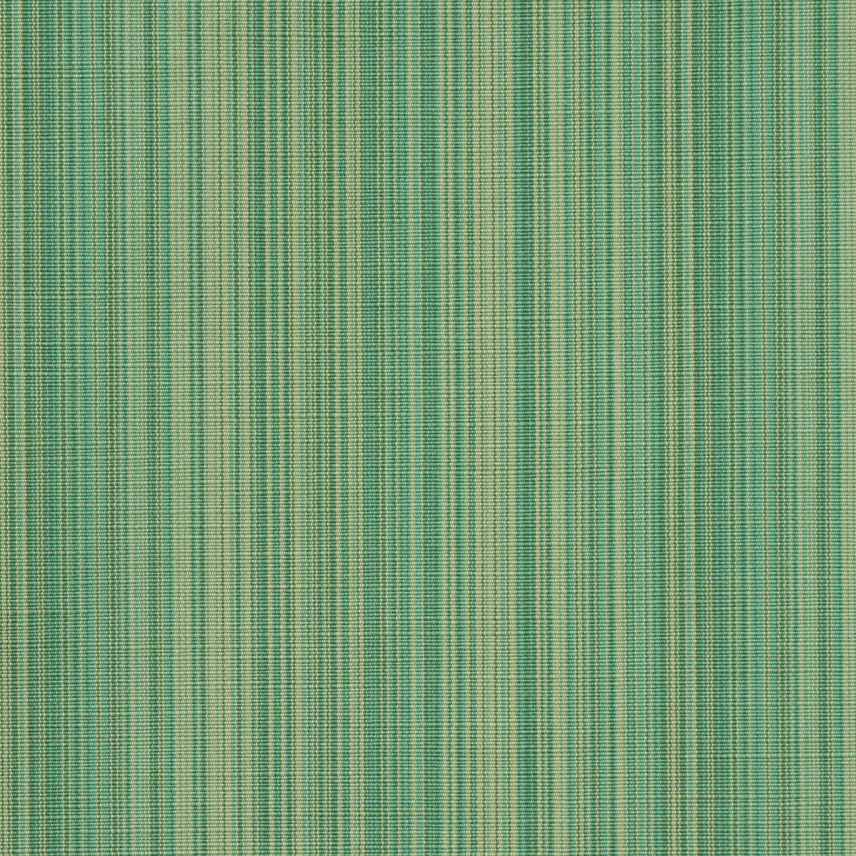 GRACIE SOLID STRIÉ | Emerald