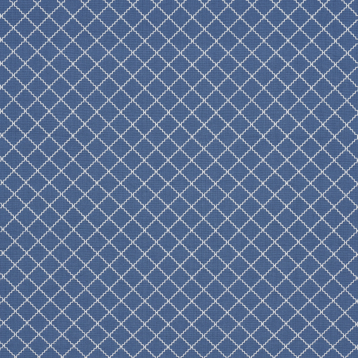 MAGGIE LATTICE | COBALT