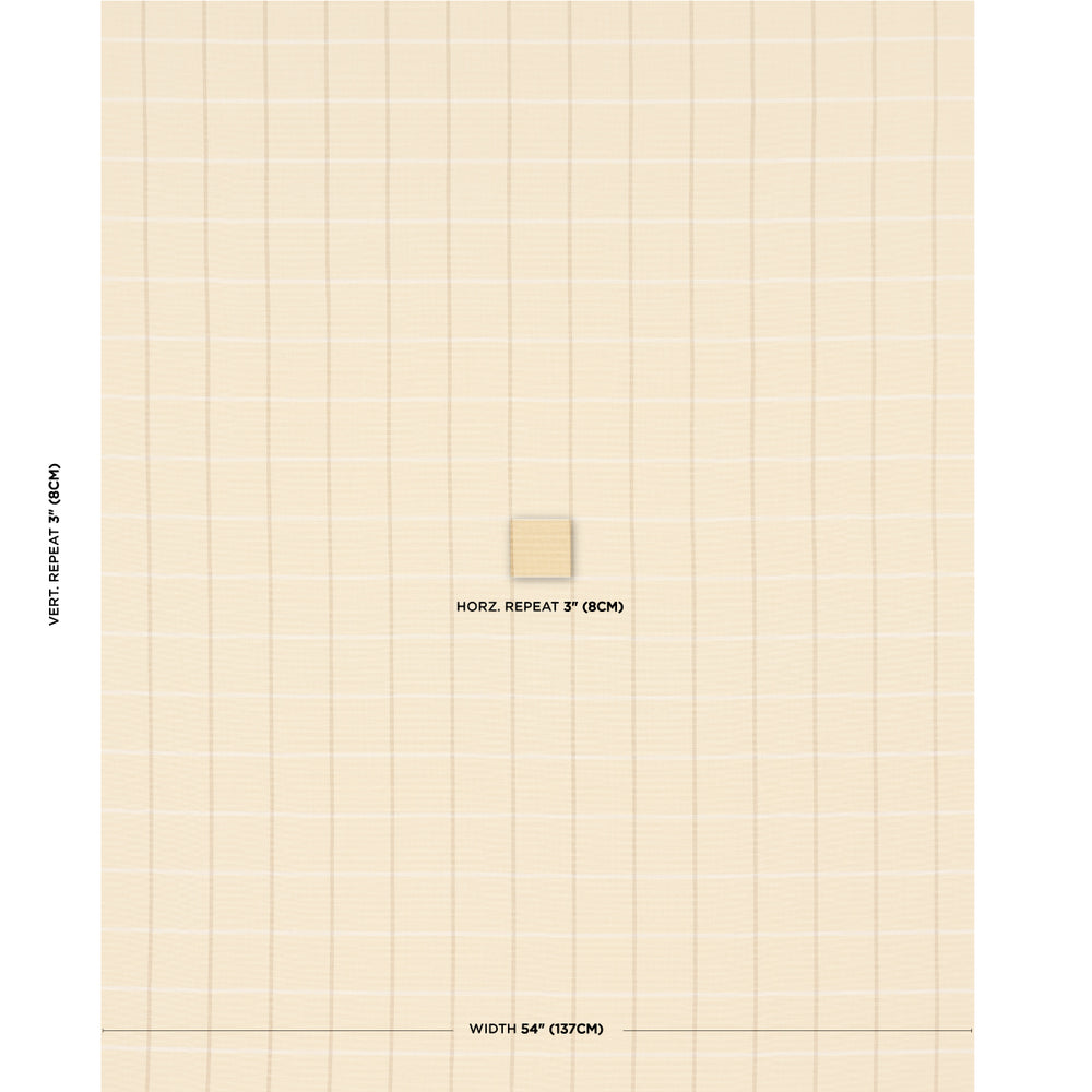 FRANNIE WINDOWPANE | Camel