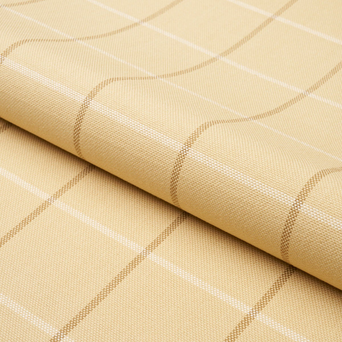 FRANNIE WINDOWPANE | CAMEL