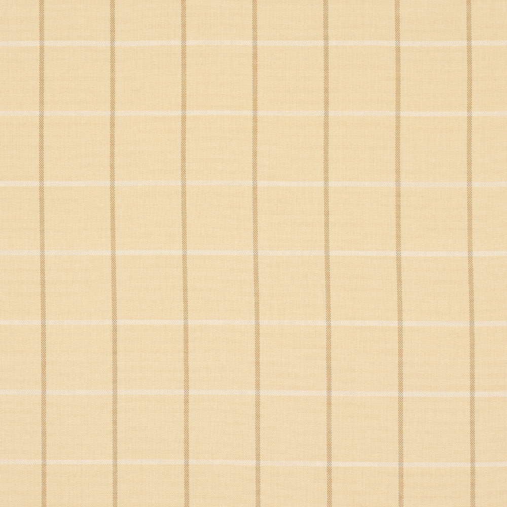 FRANNIE WINDOWPANE | Camel