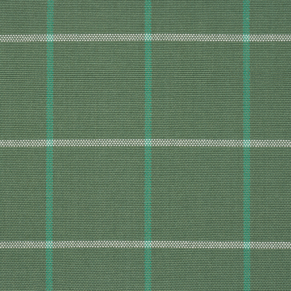 FRANNIE WINDOWPANE | Green