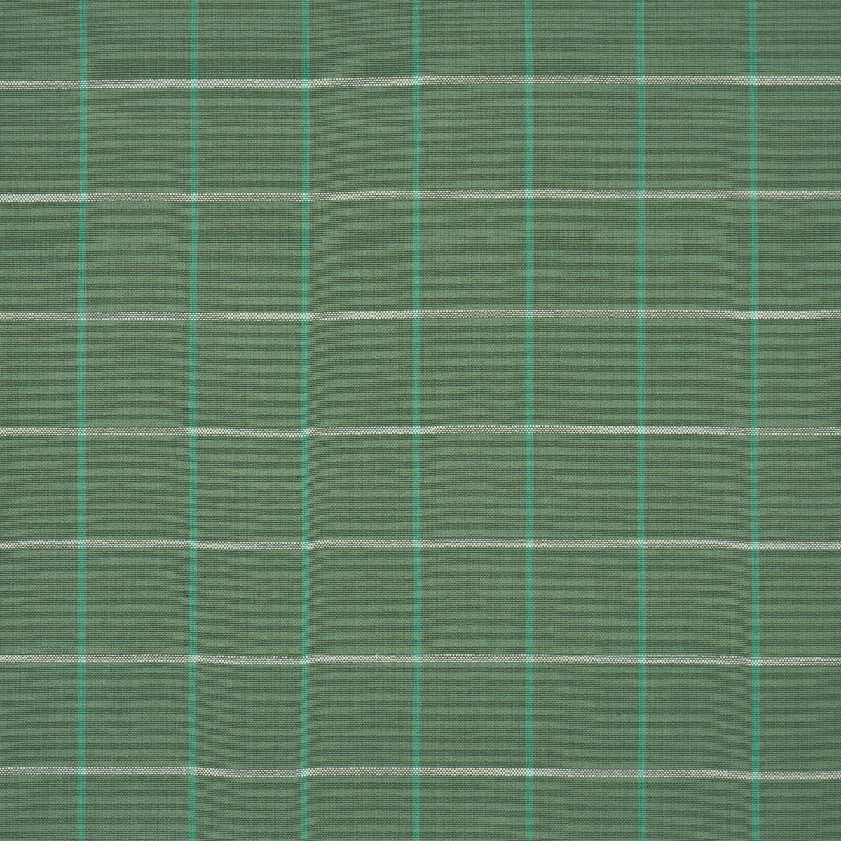 FRANNIE WINDOWPANE | GREEN