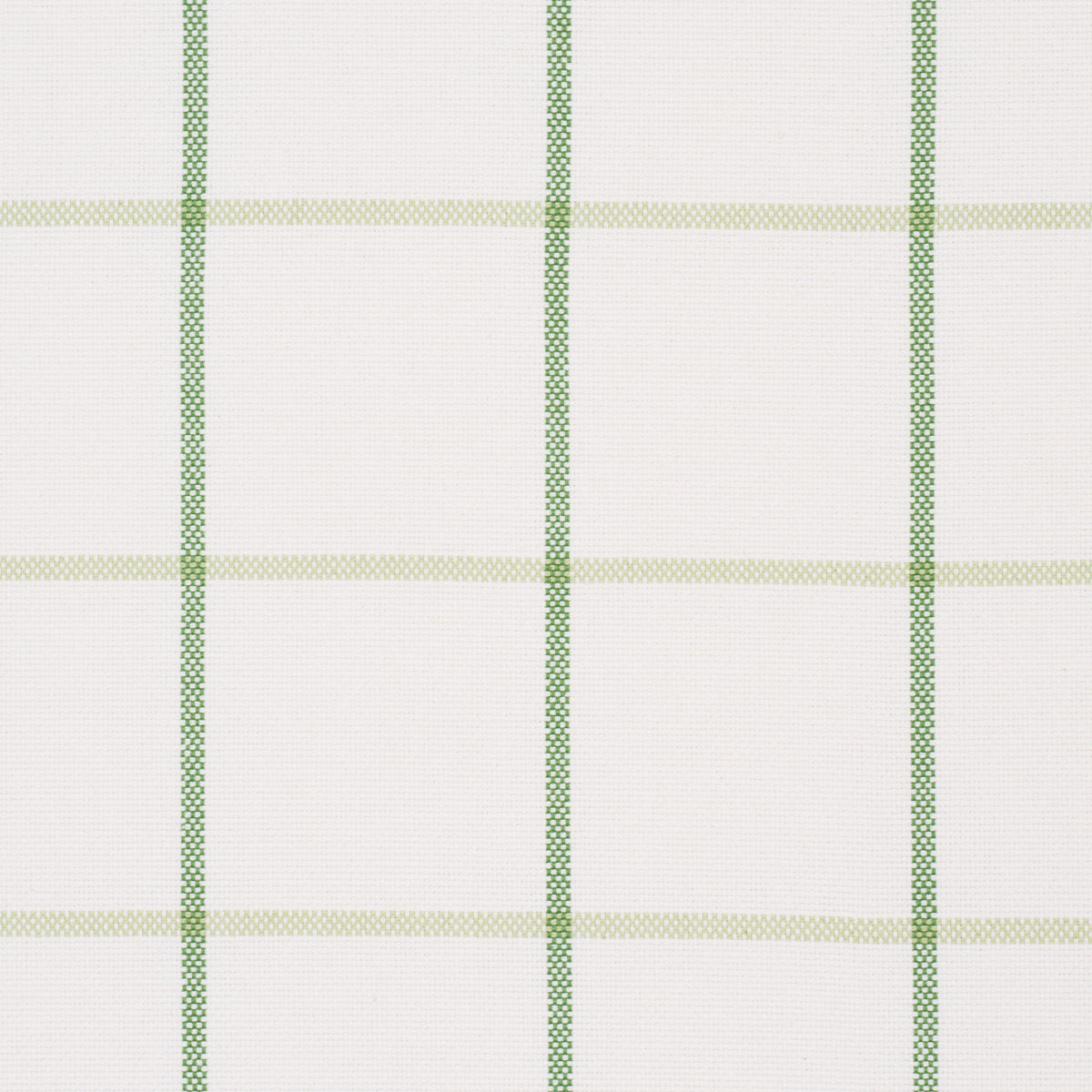 FRANNIE WINDOWPANE | Leaf Green