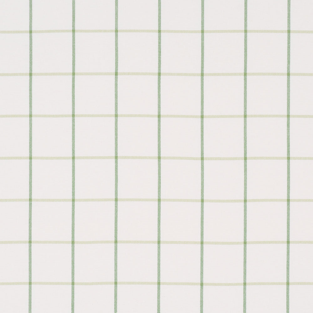 FRANNIE WINDOWPANE | Leaf Green