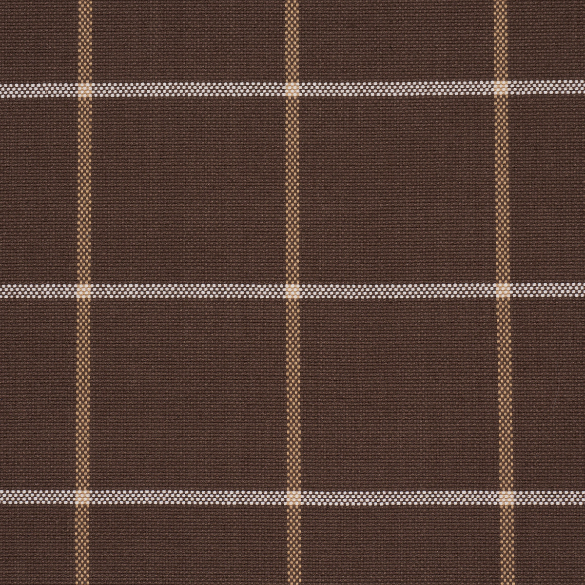 FRANNIE WINDOWPANE | Chocolate
