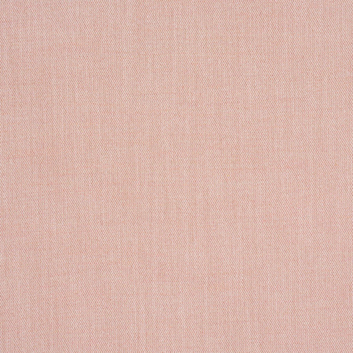 SIMON INDOOR/OUTDOOR | Blush