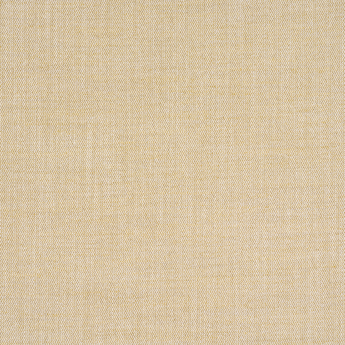 SIMON INDOOR/OUTDOOR | Ochre