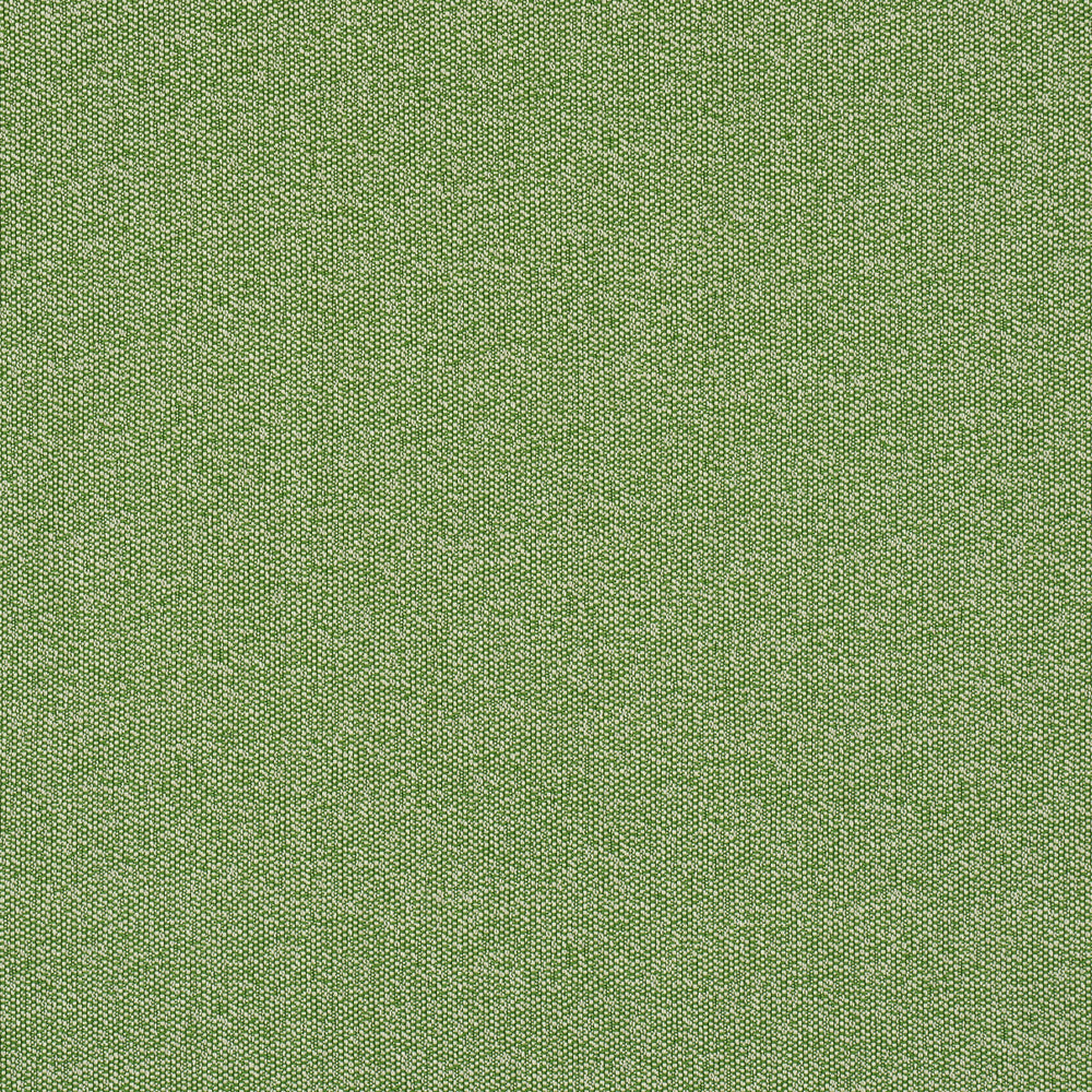 GUS INDOOR/OUTDOOR | Grass