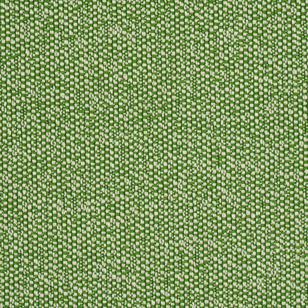 GUS INDOOR/OUTDOOR | Grass