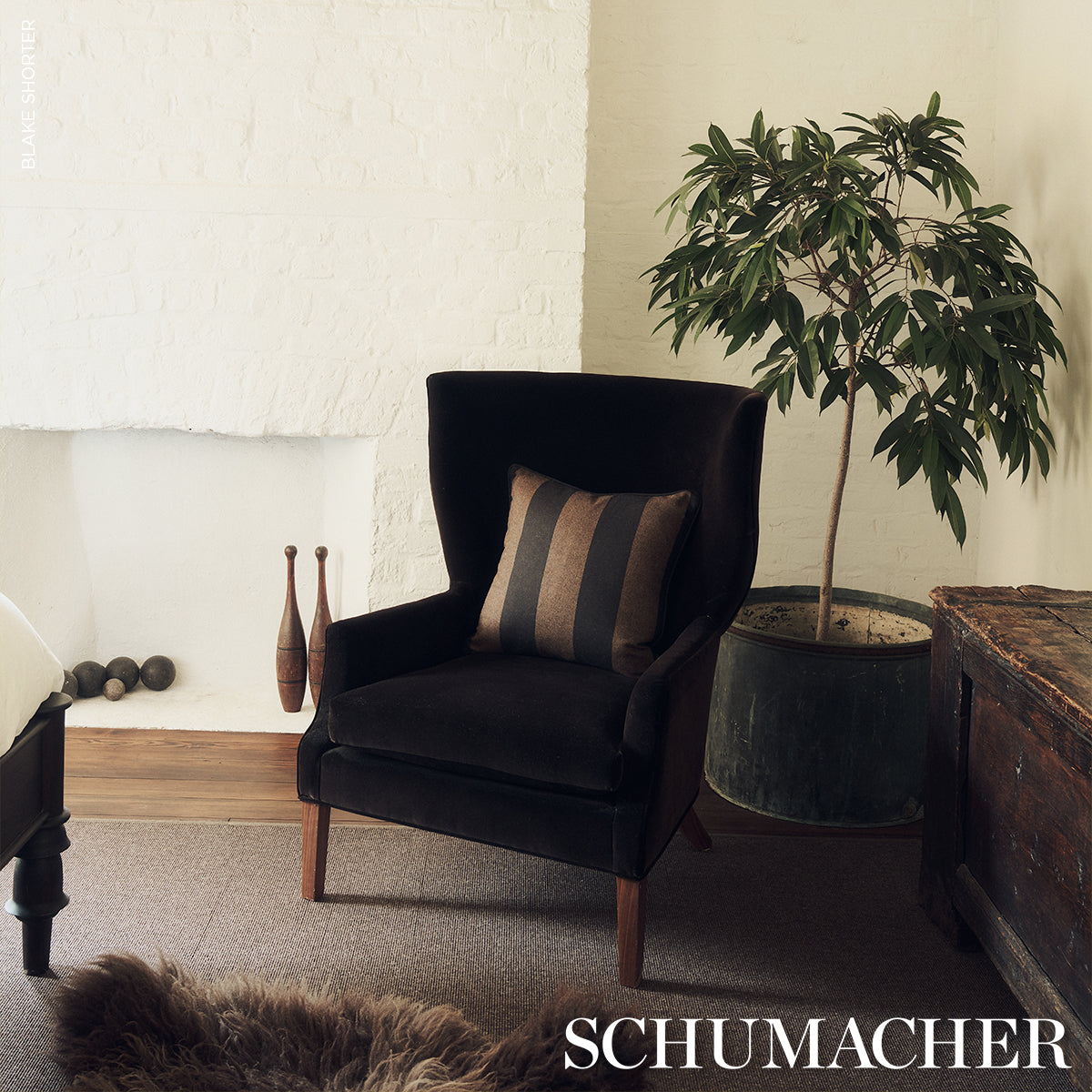 HEMLOCK STRIPE | Java