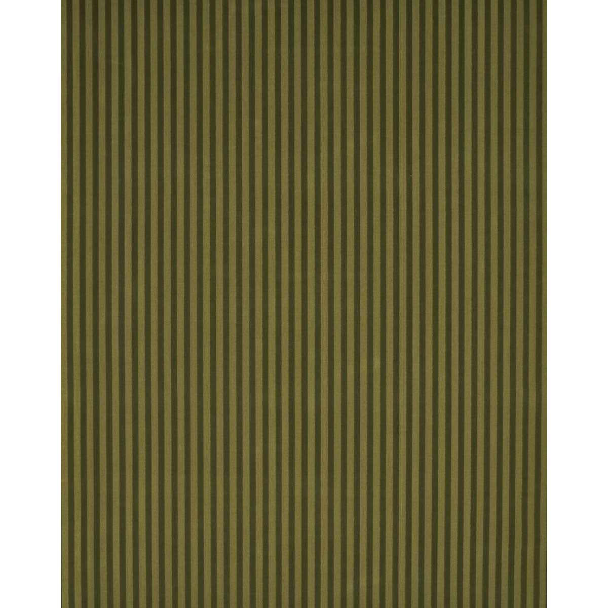 PIPE ILLUSION | Moss