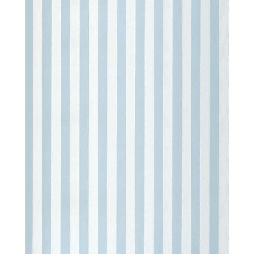 ROOSEVELT AWNING STRIPE | Robin's Egg