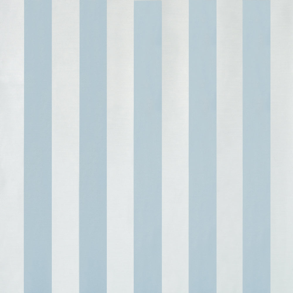 ROOSEVELT AWNING STRIPE | Robin's Egg