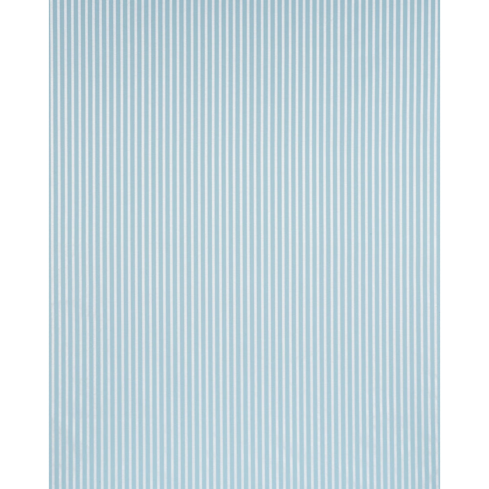 LINCOLN SMALL STRIPE | Robin's Egg