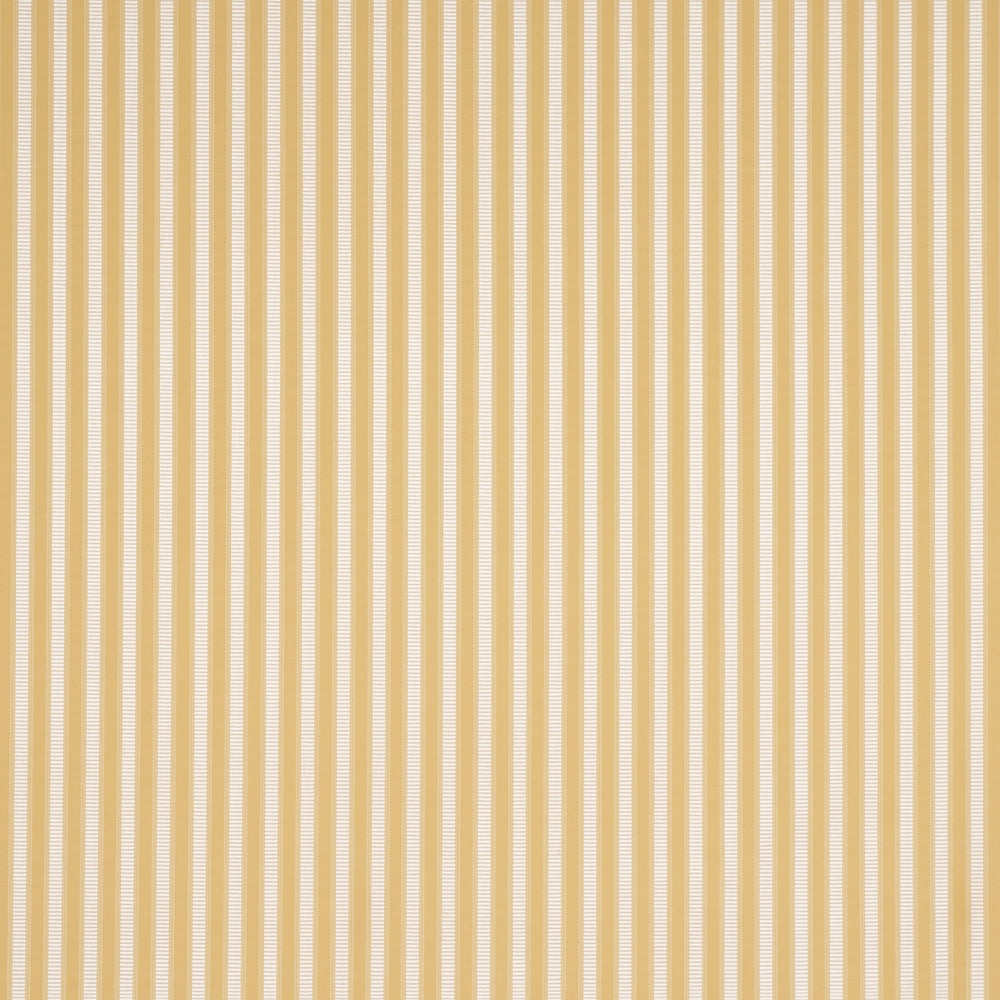 LINCOLN SMALL STRIPE | Yellow