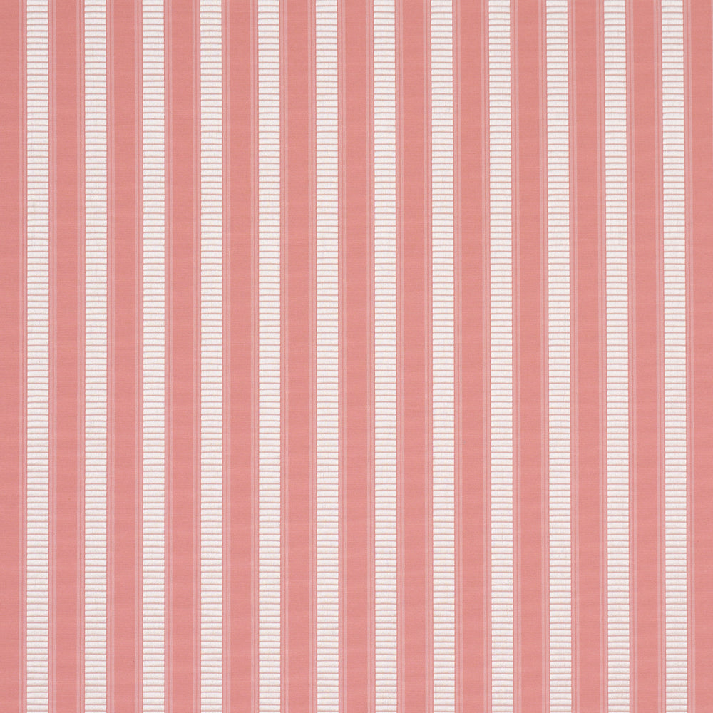 LINCOLN SMALL STRIPE | Pink