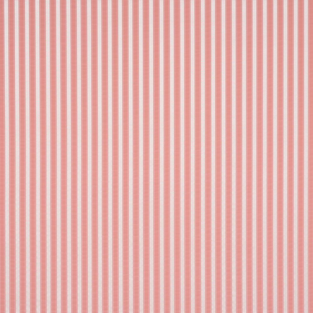LINCOLN SMALL STRIPE | Pink
