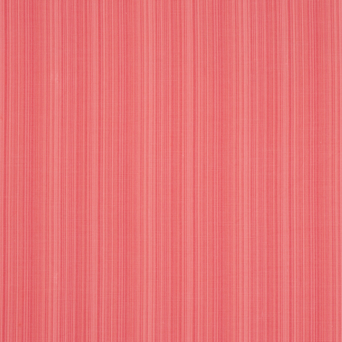 GRACIE SOLID STRIÉ | Coral
