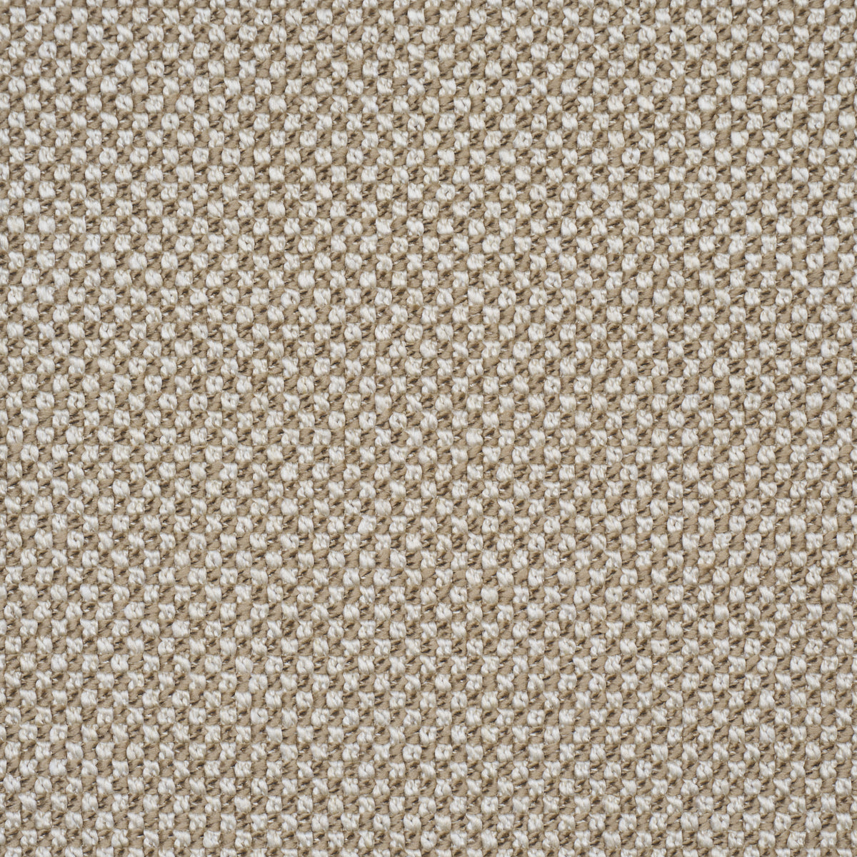 RAYE PERFORMANCE | Sand