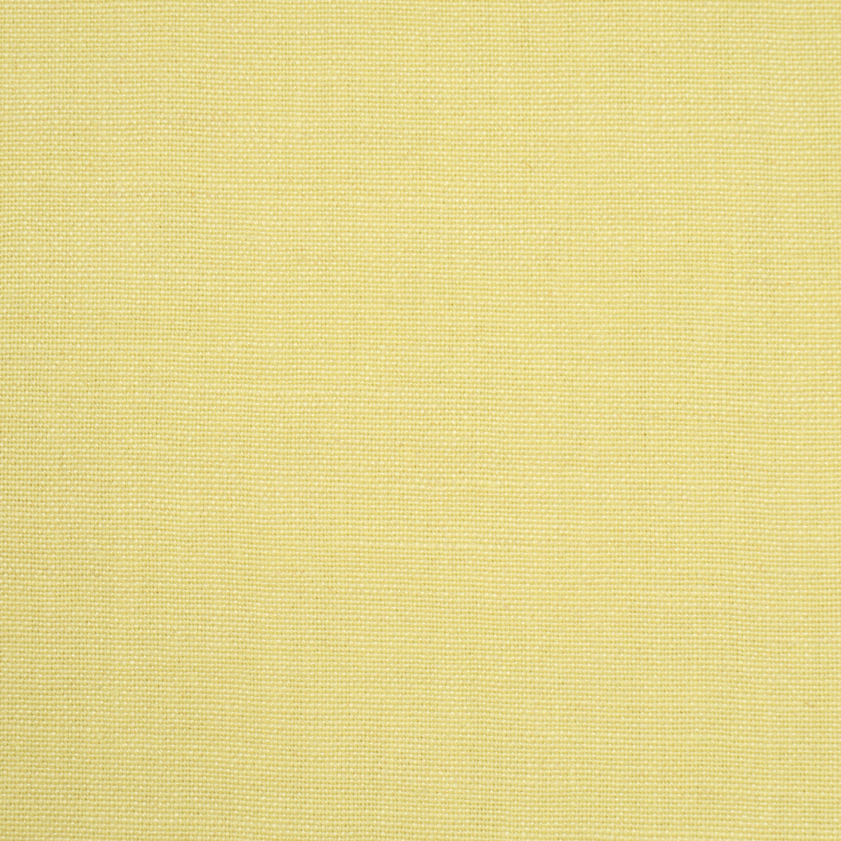 PIET PERFORMANCE LINEN | Citron Vert