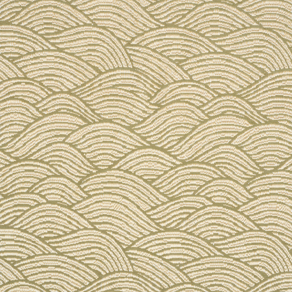 SYMPHONY SCALLOP | Olive