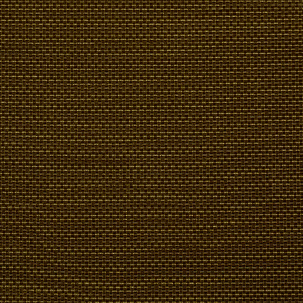 NIKKI PERFORMANCE | Olive