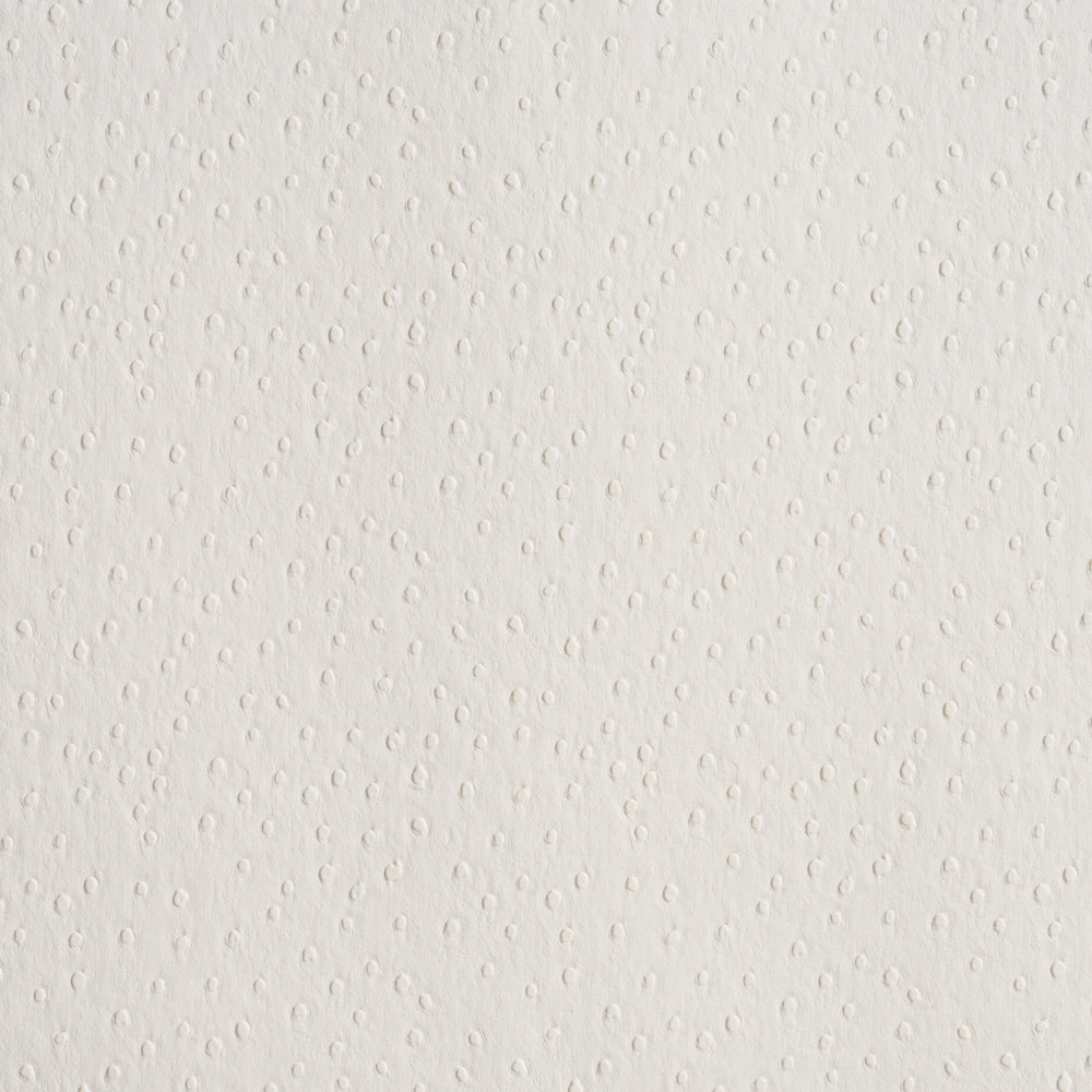 OSTRICH VEGAN LEATHER | Ivory