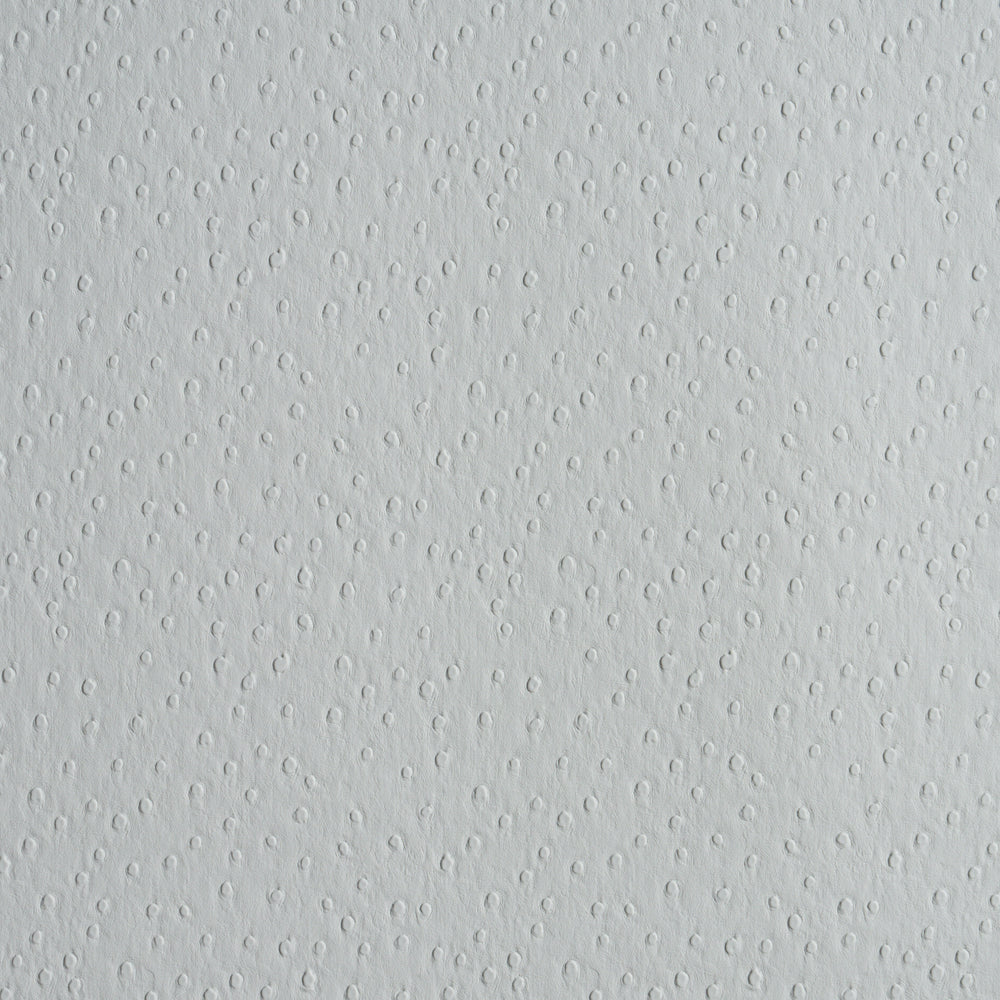 OSTRICH VEGAN LEATHER | Fog
