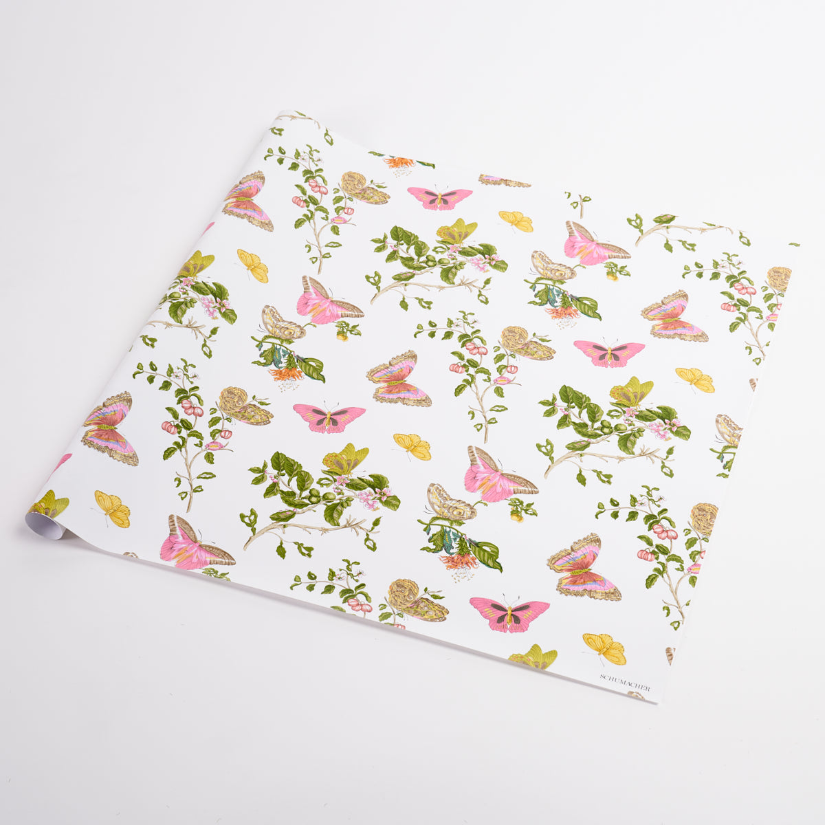 Baudin Butterfly Wrapping Paper | Blush